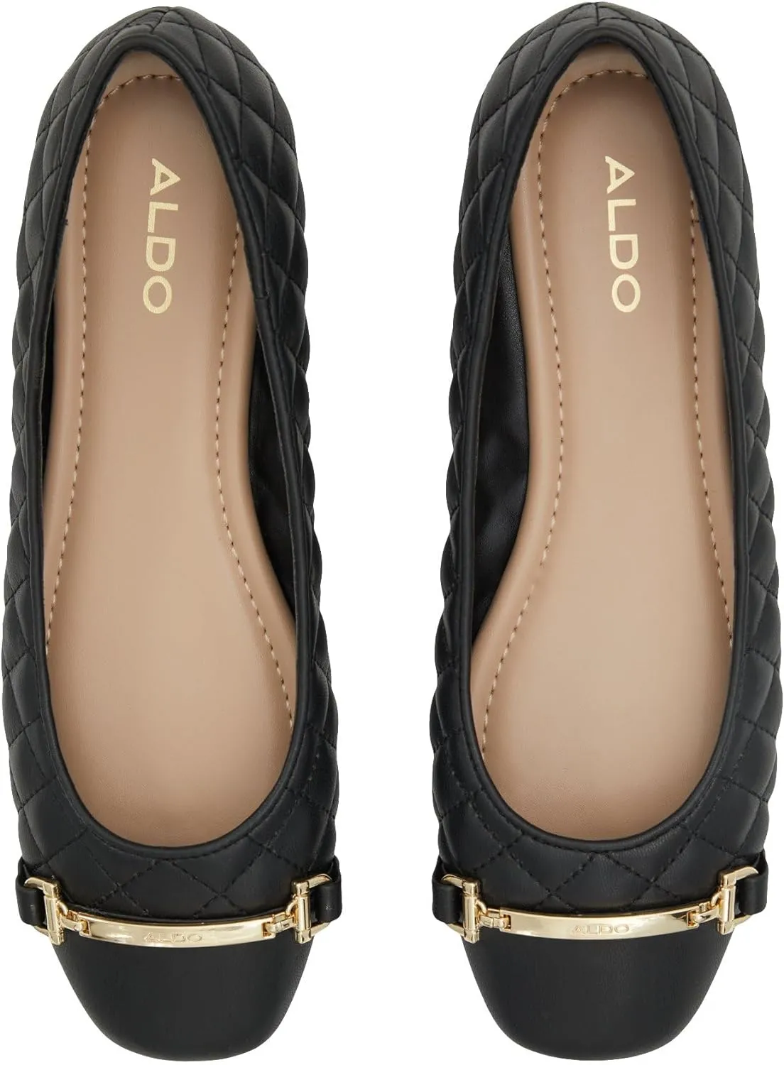 ALDO Women's Leanne Ballet Flat