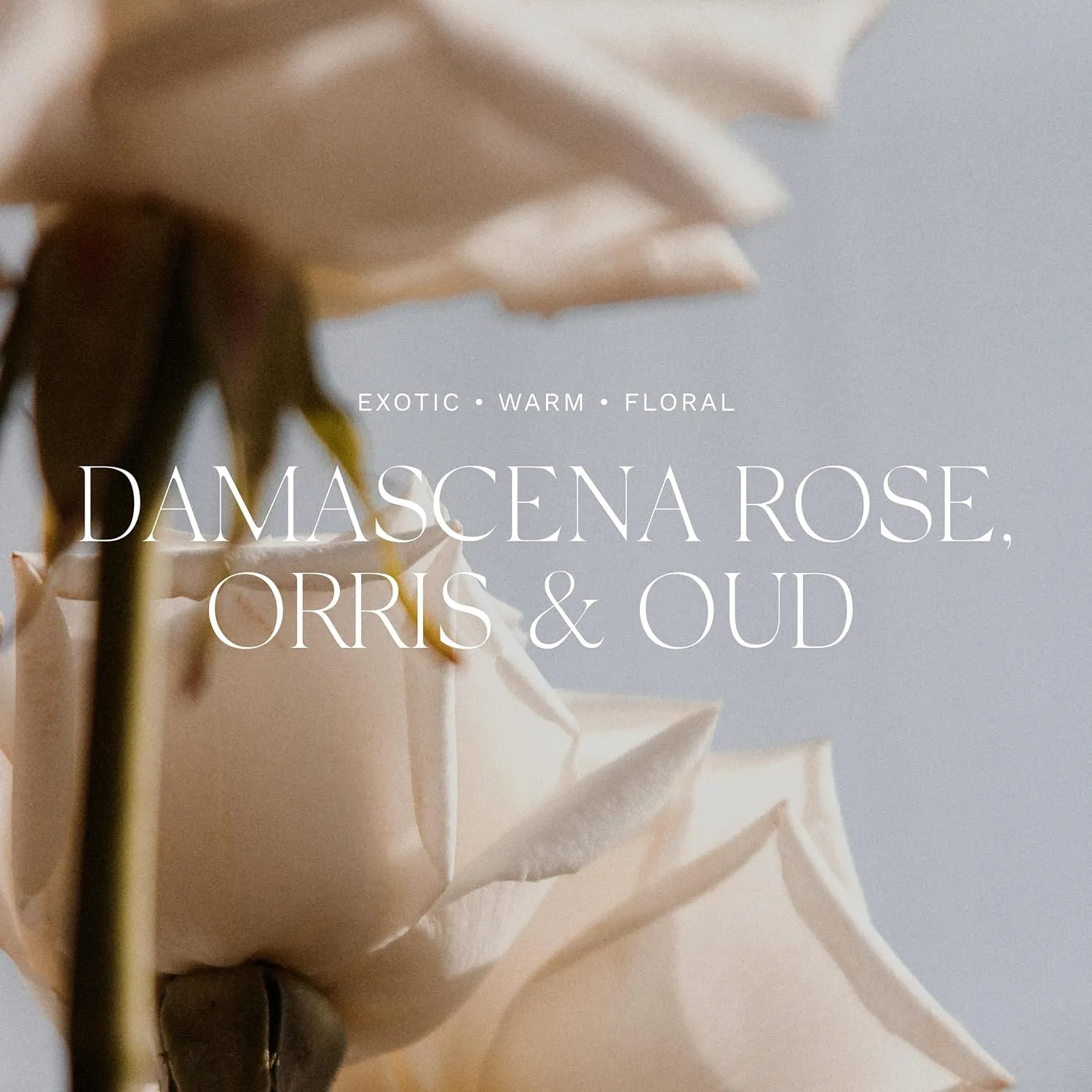 Antica Farmacista Home Ambiance Diffuser, Damascena Rose, Orris and Oud, Rose, 8.45 Fl Oz