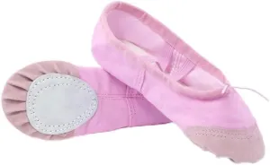 Girls Ballet Shoes Canvas Ballet Dance Slippers for Women Kids Children Classical Practice Split-Sole 5 Colors Adult Flat Dance(P-Pink,29(18cm))