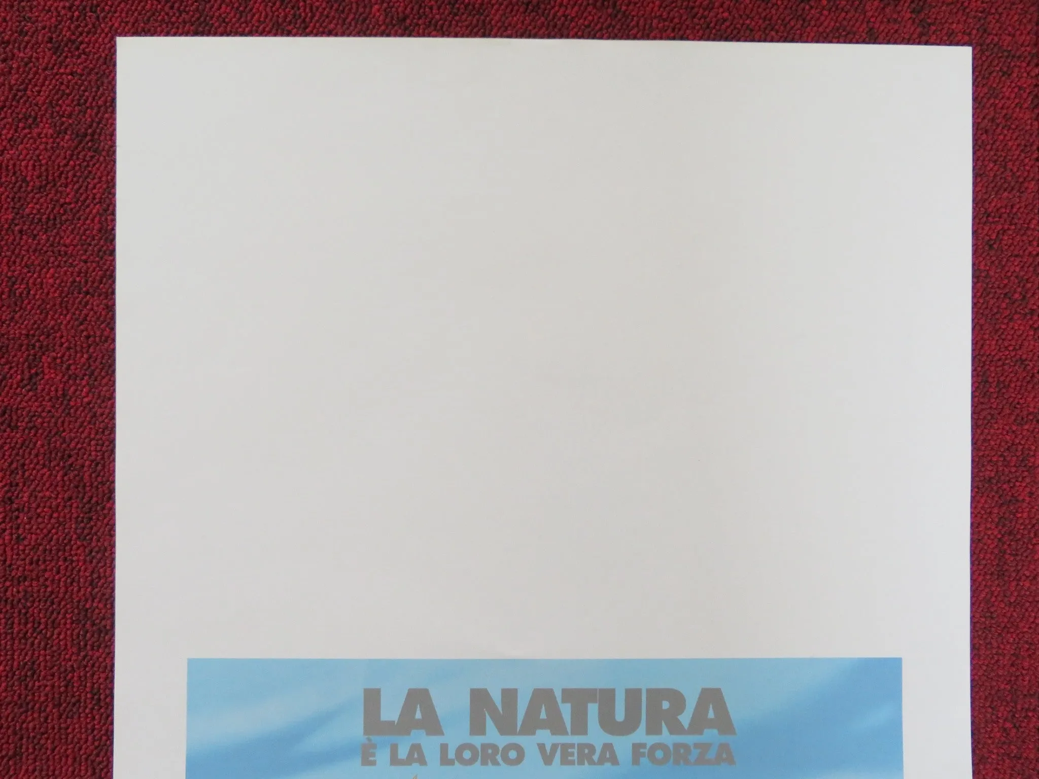 OPEN SEASON ITALIAN LOCANDINA POSTER ASHTON KUTCHER MARTIN LAWRENCE 2006