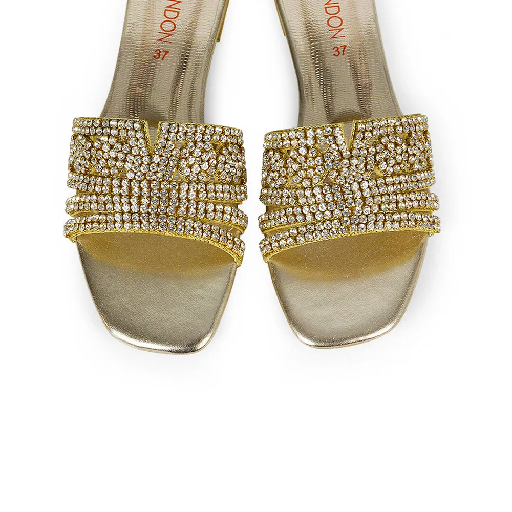 Sam Cut Out Square Toe Sparkly Front Strap Slip On Flat Diamante Sandals in Silver