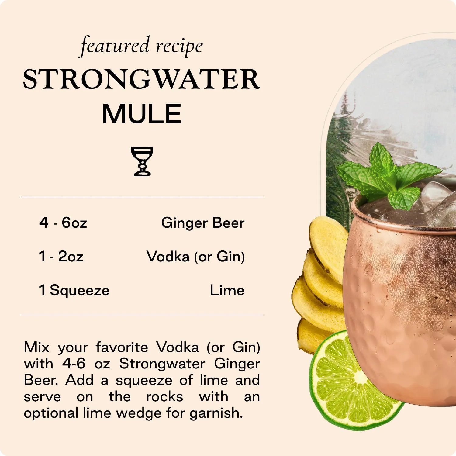 Strongwater Sparkling Ginger Beer - 12 Pack Cans (8.4 Fl Oz Each) - Premium Craft Cocktail Mixer Made with Filtered Rocky Mountain Water & Ginger Root - Real Cane Sugar, No Artificial Flavors