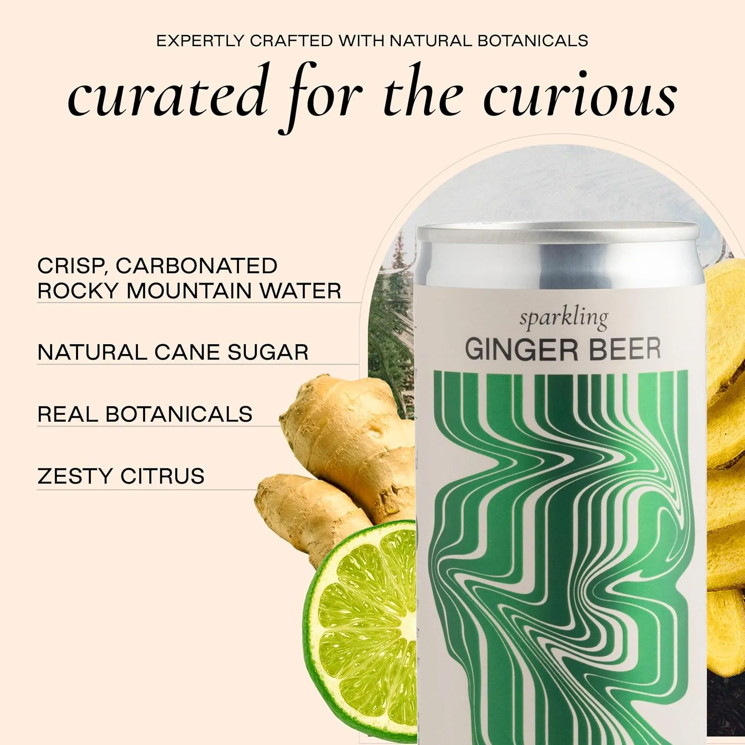 Strongwater Sparkling Ginger Beer - 12 Pack Cans (8.4 Fl Oz Each) - Premium Craft Cocktail Mixer Made with Filtered Rocky Mountain Water & Ginger Root - Real Cane Sugar, No Artificial Flavors